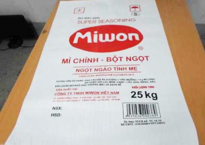 PRINTED WPP BAG2